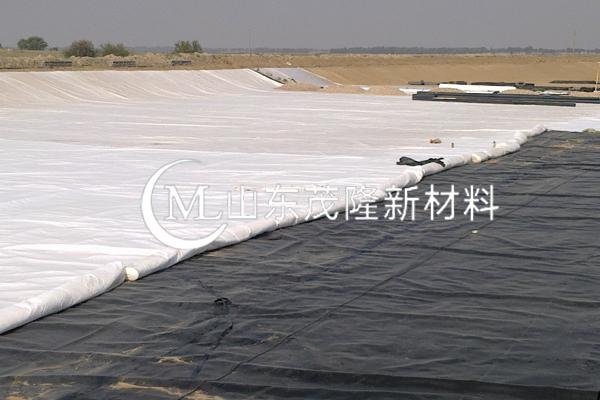 《黎光垃圾填埋场清理搬迁及运输服务项目》HDPE土工膜